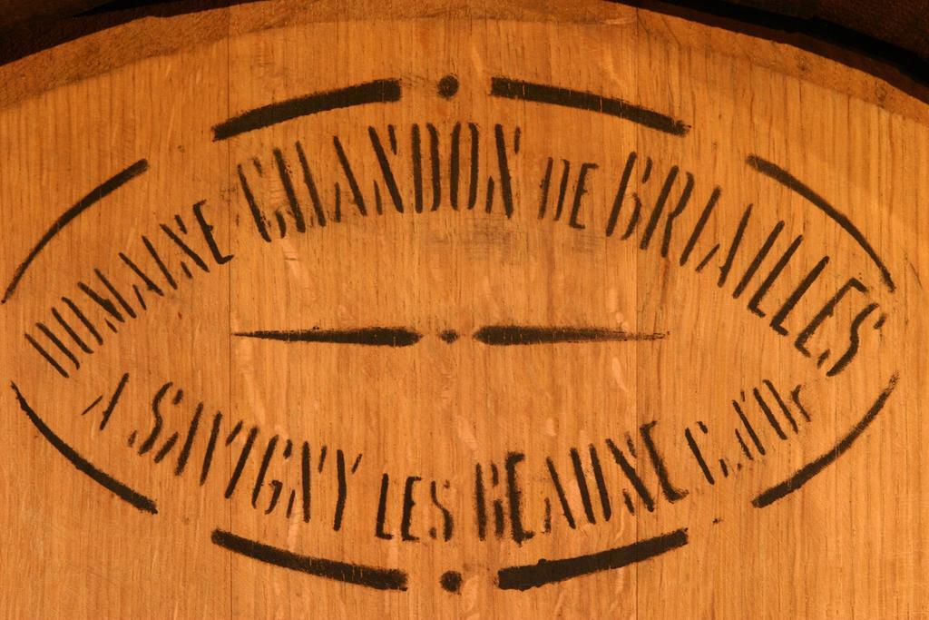 Maison D'Hotes Chandon De Briailles Savigny-lès-Beaune Exterior foto